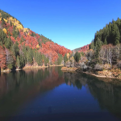 Lacul Jidoaia