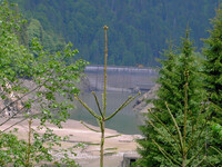 Lac gol 4  Petrimanu