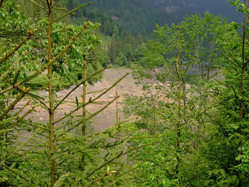 Lac gol 5  Petrimanu